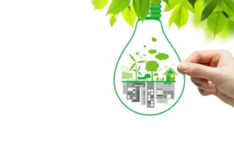 ökologische Transformation und Nachhaltigkeitsmaßnahmen im Unternehmen