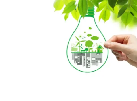 ökologische Transformation und Nachhaltigkeitsmaßnahmen im Unternehmen